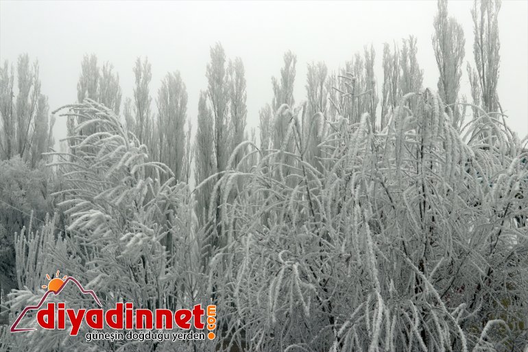 Ağrı sis bulutlarıyla kaplandı6