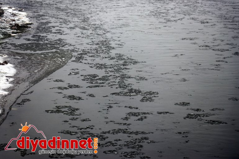 Ağrı sis bulutlarıyla kaplandı9