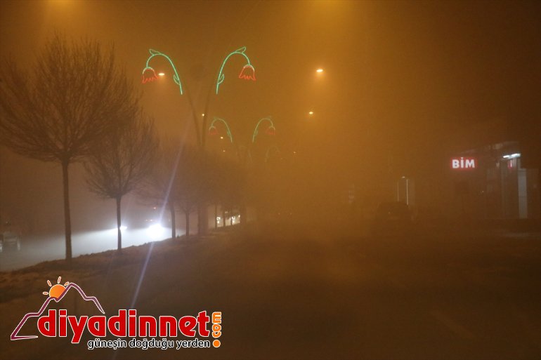 ulaşımı AĞRI - Yoğun sis aksatıyor 3