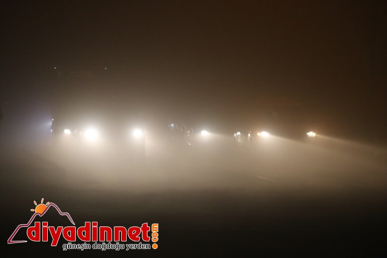 ulaşımı - Yoğun sis AĞRI aksatıyor 4