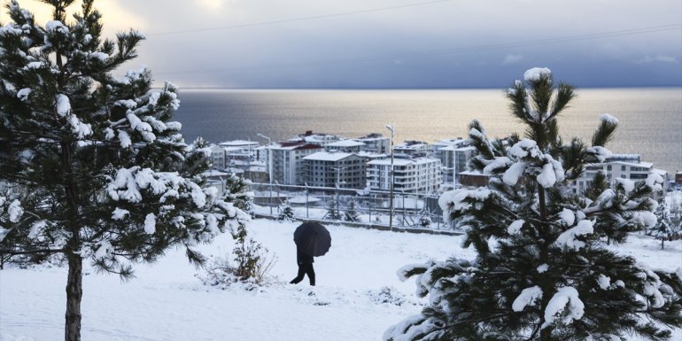 Ahlat kar yağışıyla beyaza büründü