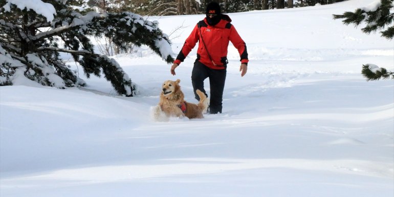 Arama kurtarma ekipleri Ergan Dağı'ndaki kayakseverlere güven veriyor