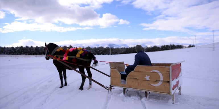 Atlarını karda koşturan atlı kızakçılar Çıldır Gölü'nün donmasını bekliyor