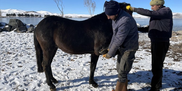 ARDAHAN - Çıldır Gölü
