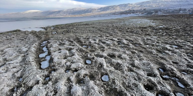 ARDAHAN - İklim değişikliği pelikanların yuvası Aktaş Gölü