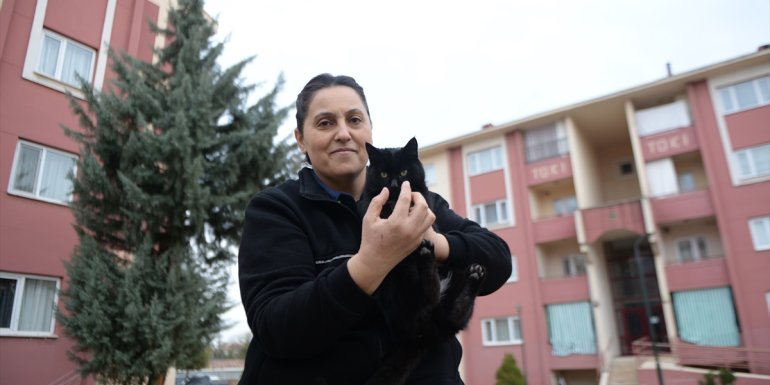 BİNGÖL - Hayvan dostu polis, Bingöl