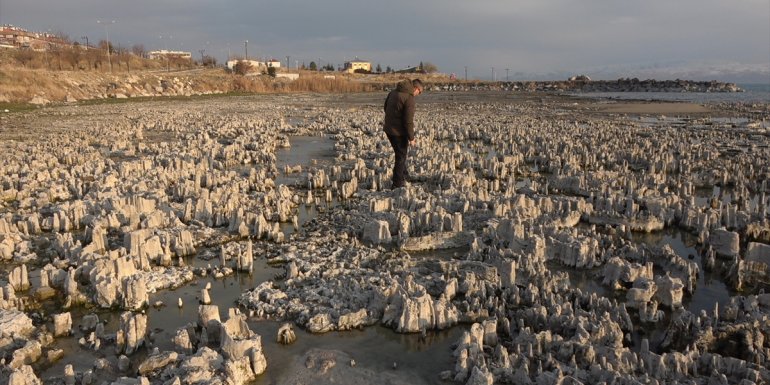 Binlerce yılda oluşan mikrobiyalitler Van Gölü'nün çekilmesiyle gün yüzüne çıktı