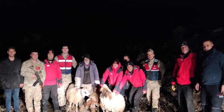 Erzincan'da koyunlarıyla kayalıklarda mahsur kalan baba ve oğlu kurtarıldı