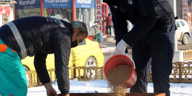 Erzurum Büyükşehir Belediyesi yaban hayatı için doğaya yem bıraktı