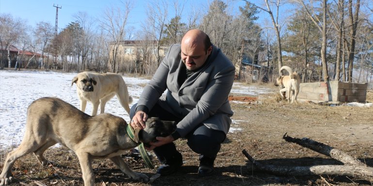 Erzurum'da kazanlar yabani hayvanlar için kaynadı