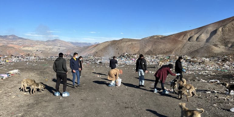 ERZURUM - Üniversite öğrencileri sokak hayvanlarına yem verdi1