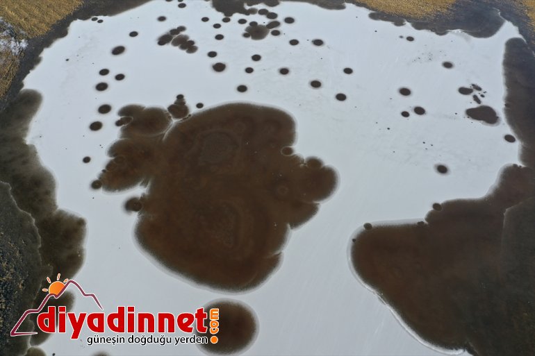 Milli (DRONE) sulak buzla alanlar - Parkı