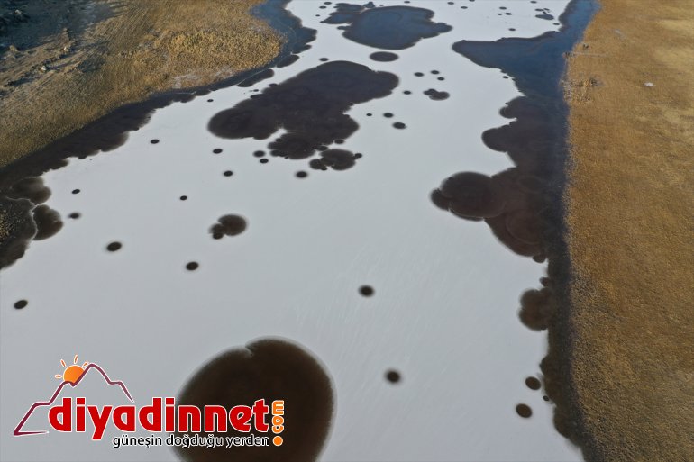 Dağı Ağrı alanlar Parkı