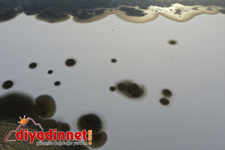 buzla (DRONE) Ağrı Parkı