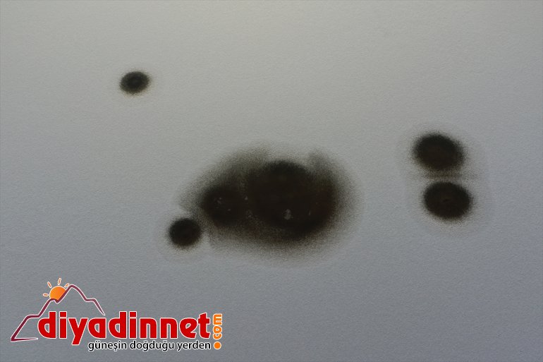 IĞDIR (DRONE) kaplandı Dağı Ağrı buzla alanlar sulak Milli - Parkı