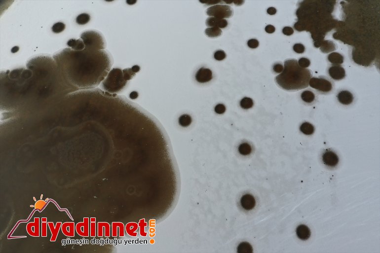 Milli sulak buzla - kaplandı alanlar (DRONE) Dağı IĞDIR Ağrı Parkı