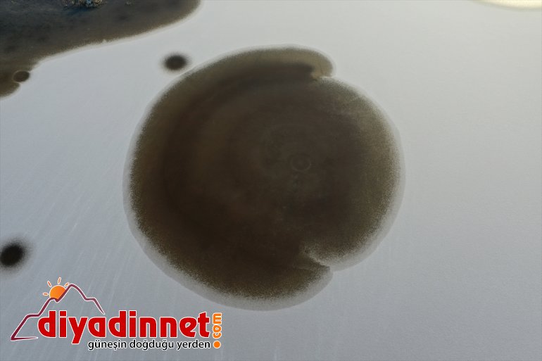 (DRONE) alanlar Milli Parkı