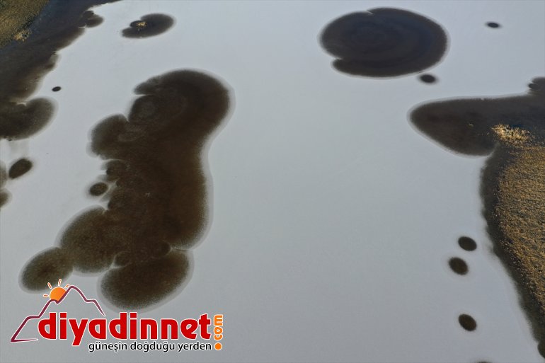 alanlar kaplandı (DRONE) IĞDIR sulak Parkı