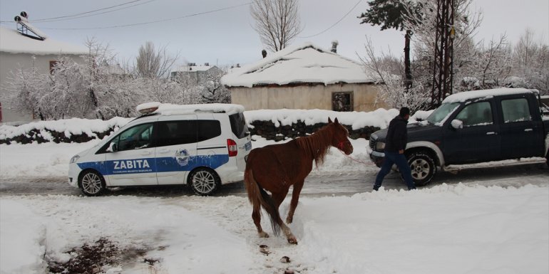 Karlıova'da ayağı kırık ata belediye sahip çıktı