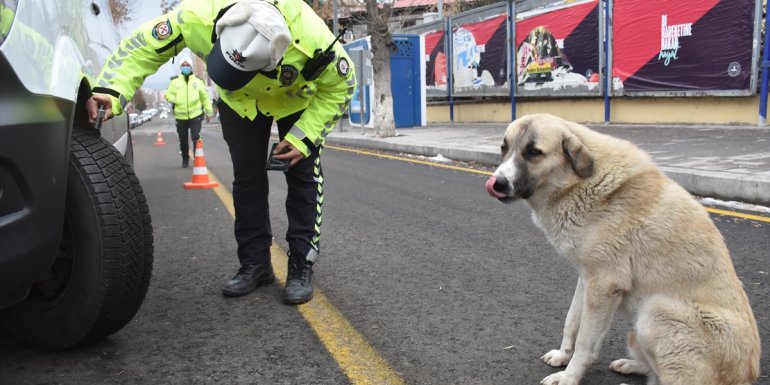 Kars ve Ardahan'da ekiplerce zorunlu kış lastiği denetimi yapıldı