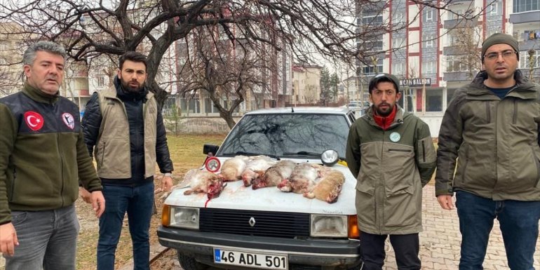Kırsal alanda gece projektörle tavşan avlayan 4 kişiye 24 bin lira ceza kesildi, tüfeklere el konuldu