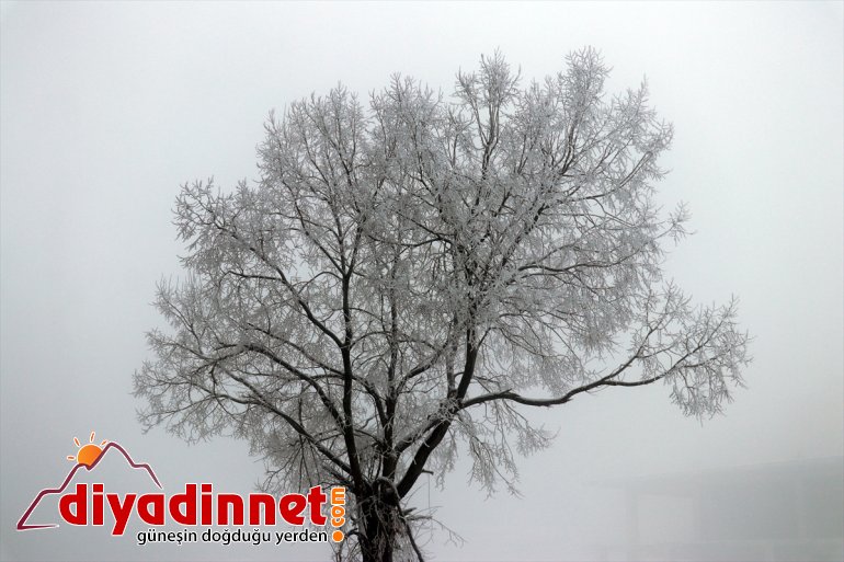 Kışın çetin geçtiği Ağrı