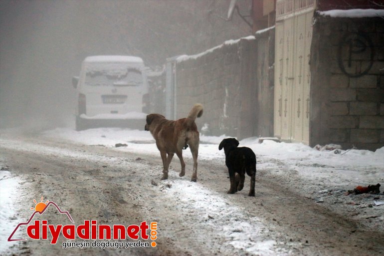 Kışın çetin geçtiği Ağrı