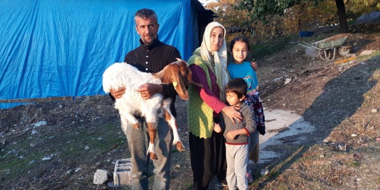 Malatya'da bir yetiştiriciye 11 süt keçisi verildi