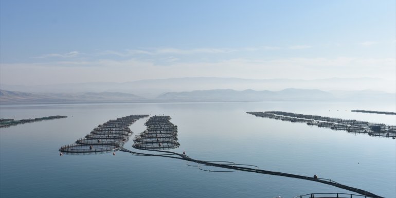 Malatya'da yetiştirilen somon balıkları Avrupa ülkeleri ve Rusya'da damakları tatlandırıyor
