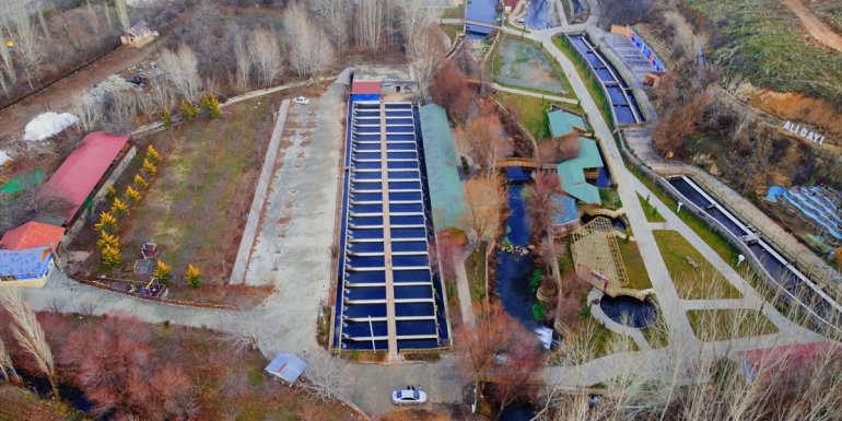 Denizi olmayan ilçede yıllık 500 ton balık üretiliyor