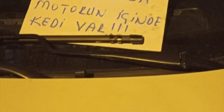 Otomobilin motor kısmına giren kedi yavrusunu itfaiye çıkardı