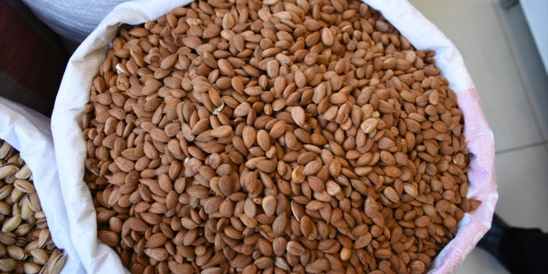 Tescilli kayısı çekirdeği ihracatından 11 ayda 14,9 milyon dolar gelir sağlandı