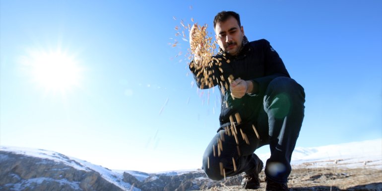 Malatya'da yaban hayvanları için doğaya yem bırakıldı