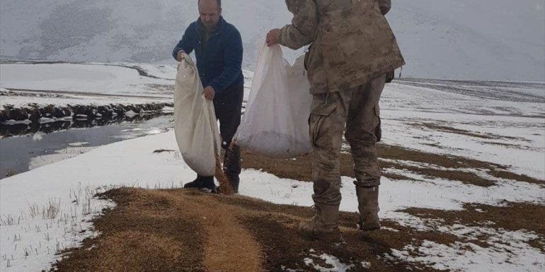 Mehmetçik ve doğa koruma görevlileri yaban hayvanları için doğaya yem bıraktı