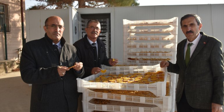 Portakal, muz ve limonu kurutup katma değerini artırdılar1