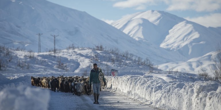TUNCELİ - Beyaza bürünen Ovacık