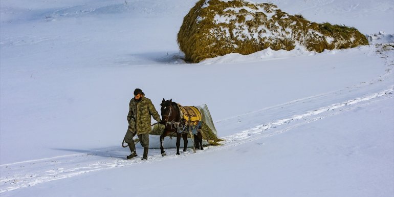 VAN - Besiciler, hayvanları için kışın zorluklarına göğüs geriyor1