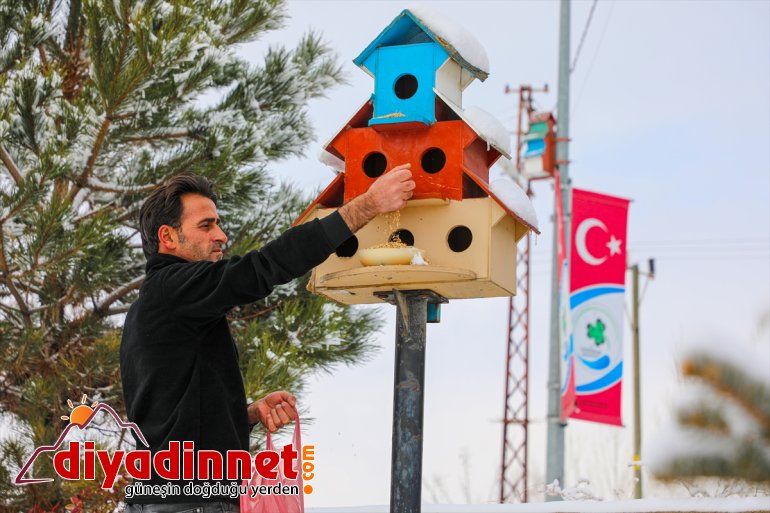 Van'da sokak hayvanları için yem bırakıldı