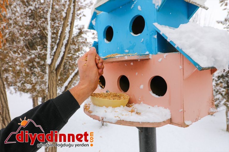 yem sokak bırakıldı Van