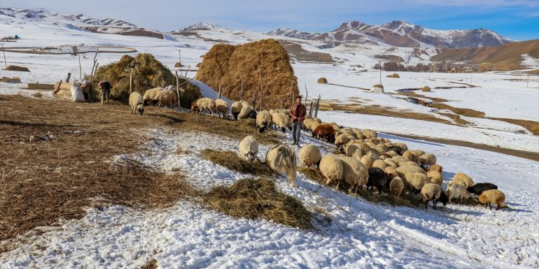 Van'da devlet desteğiyle iş sahibi olan eski hükümlüler geleceğe umutlu bakıyor