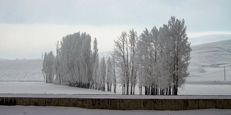Özalp'te soğuk hava etkili oluyor