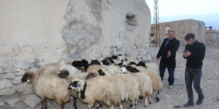 Van'da selde telef olan 1179 küçükbaş hayvanın yerine yenileri dağıtıldı