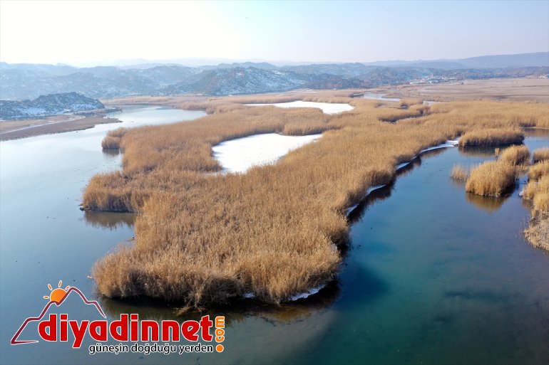 Ağrı Dağı Milli Parkı