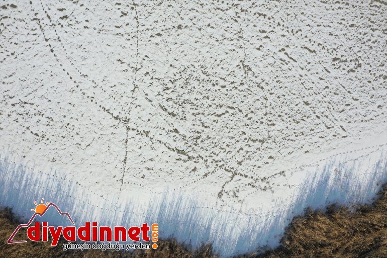 Ağrı Dağı Milli Parkı