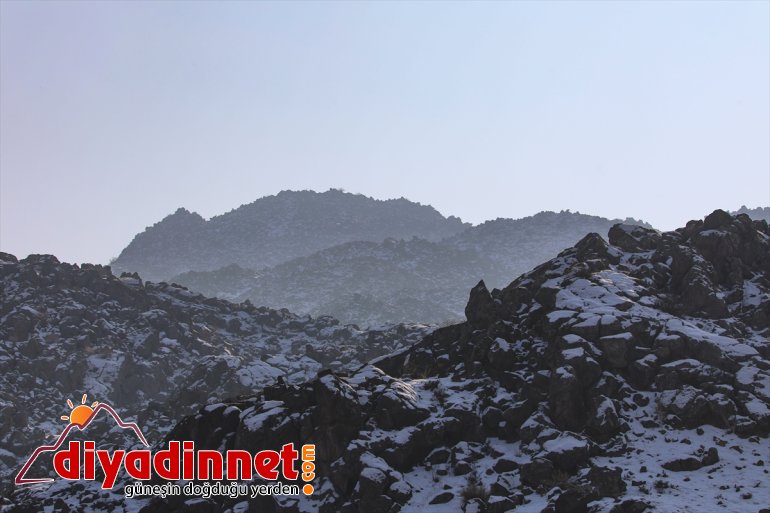 Ağrı Dağı Milli Parkı