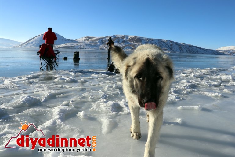 Gölü AĞRI Doğu güzelliği saklı Anadolu