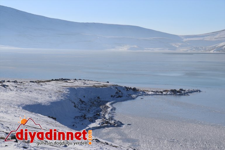 Doğu Gölü Balık tamamen saklı dondu Anadolu
