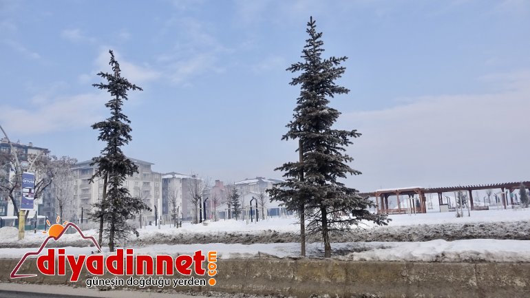 Ağrı eksi 20 derece ile dondu7