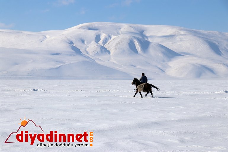 balık geliyorlar - Ağrı