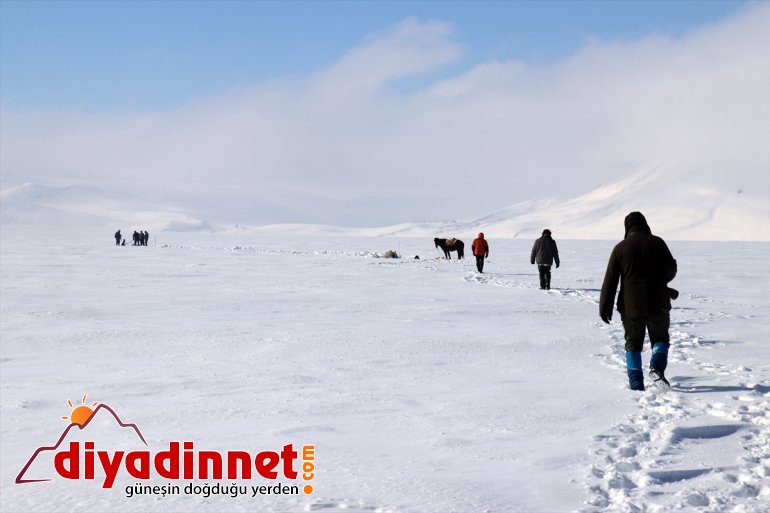 geliyorlar avını Ağrı